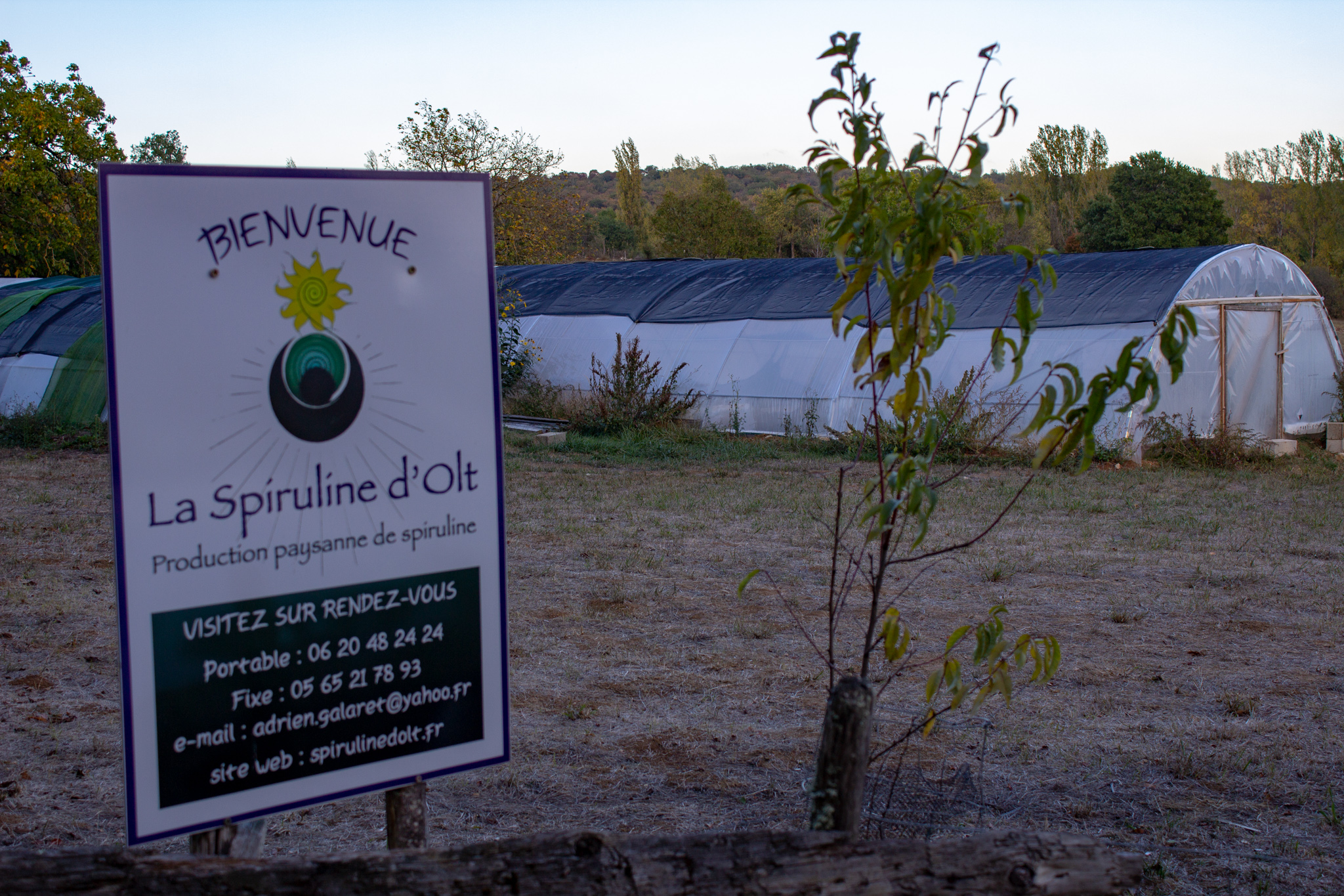 La Spiruline d'Olt