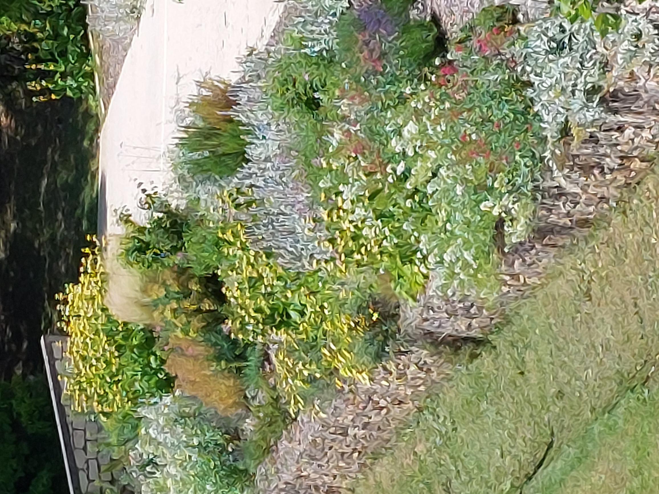 Aire Jardin des Causses du Lot, Cœur de Causse - photo 9