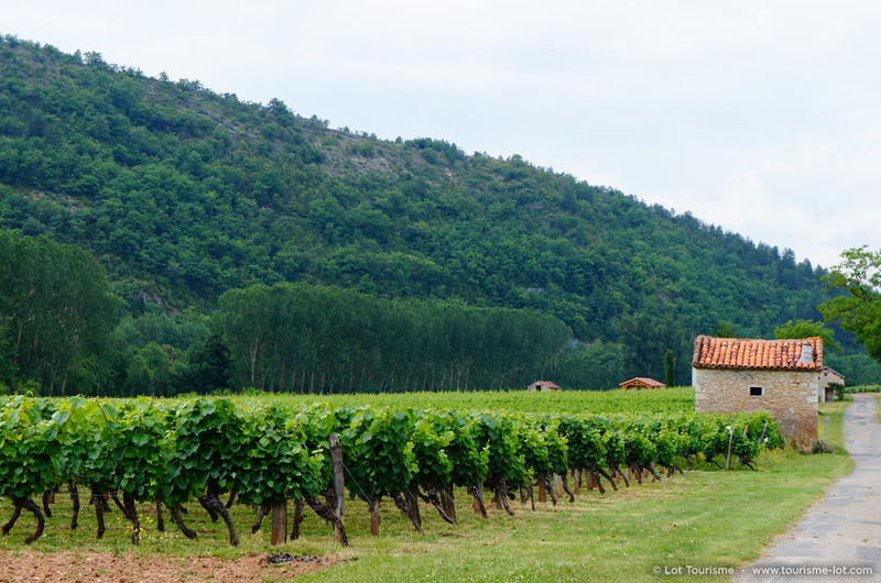 GR36  de Laramière à Bonaguil, Laramière - photo 3