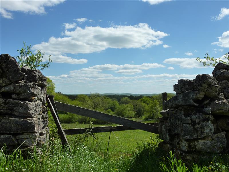 Assier - Clairière _11 © Lot Tourisme - C. Sanchez