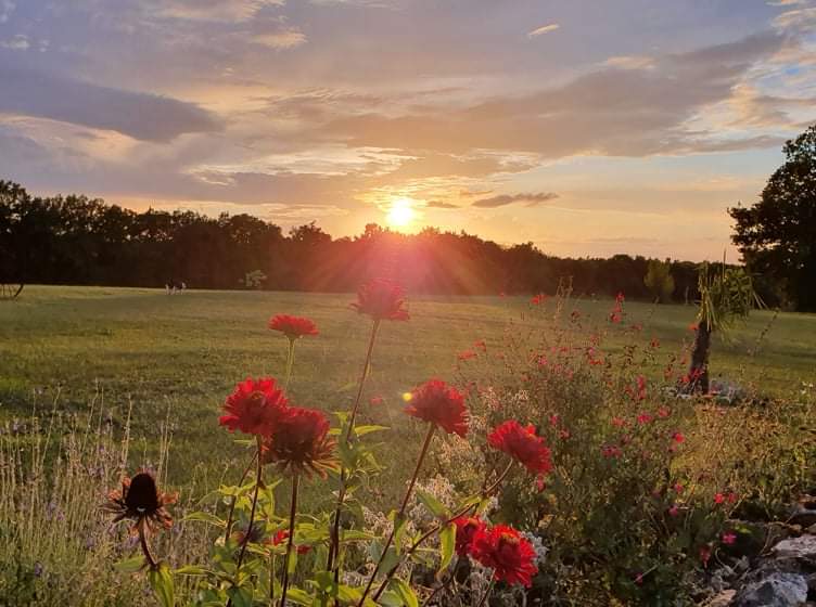 La Grange de Janès, Mauroux - photo 6