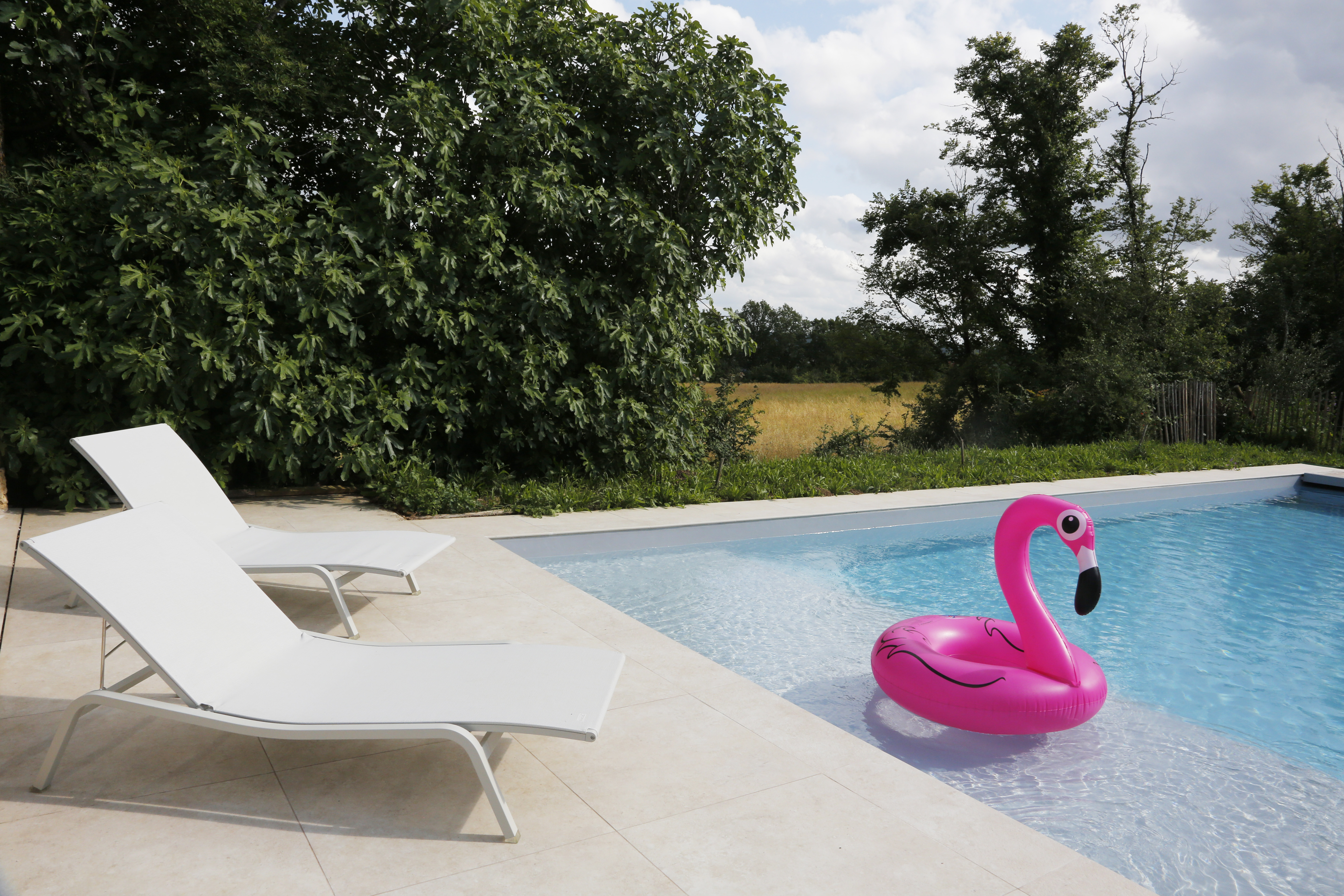 Domaine de Pech Peyrat, Floressas - photo 5