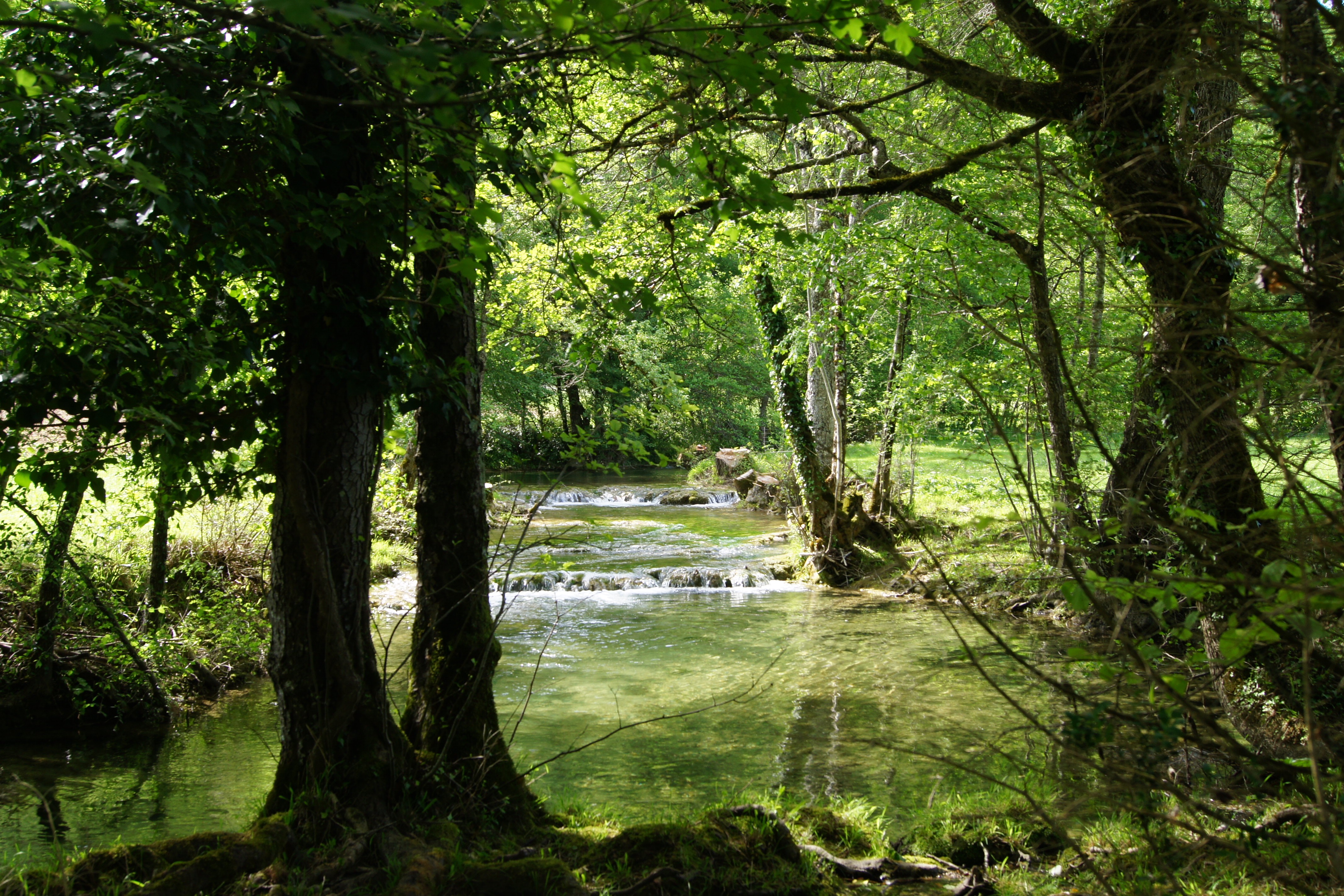 Le Pigeonnier de Roudayres, Les Pechs du Vers - photo 3