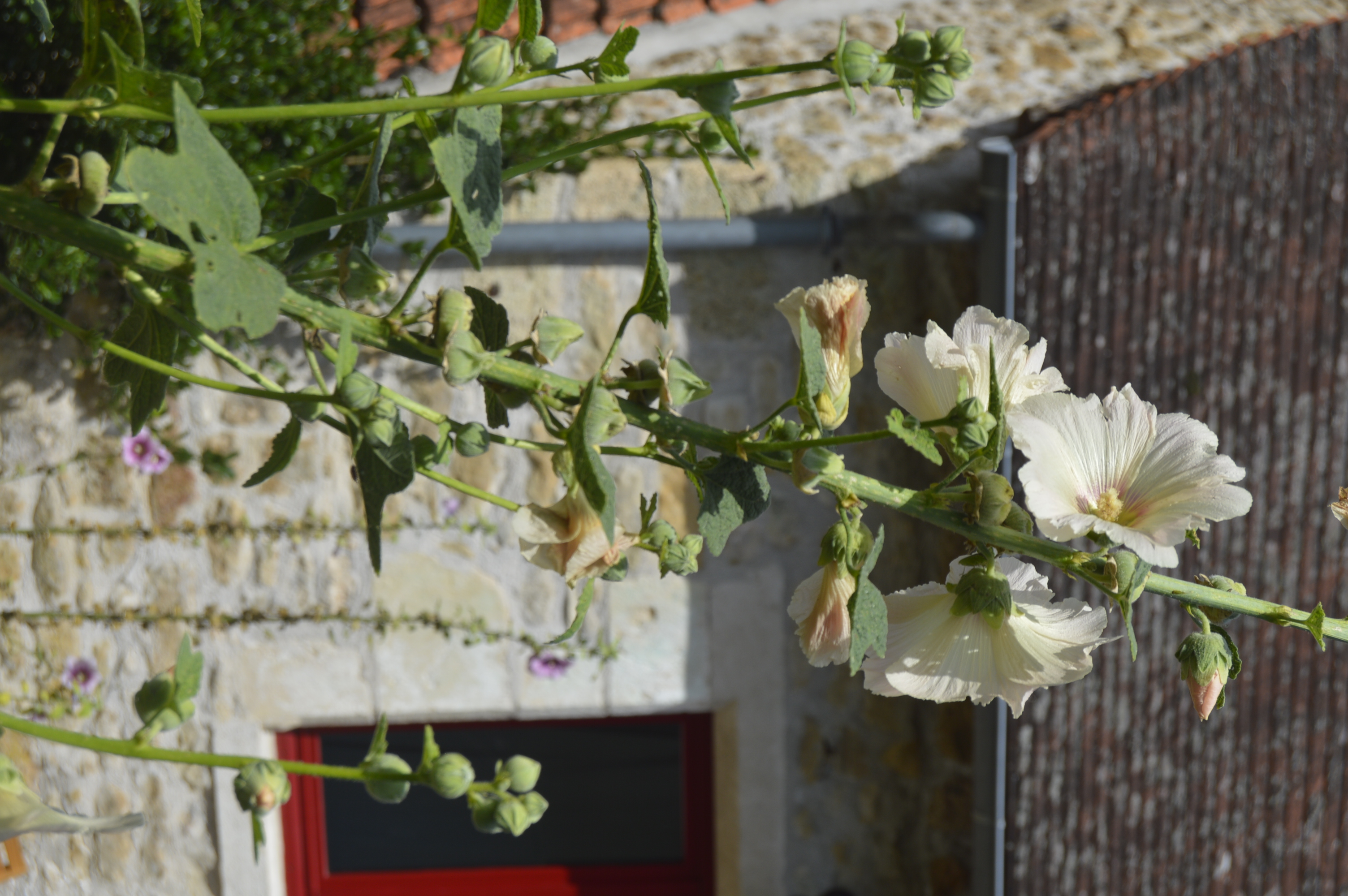 Gîte de la vieille forge, Gintrac - photo 6
