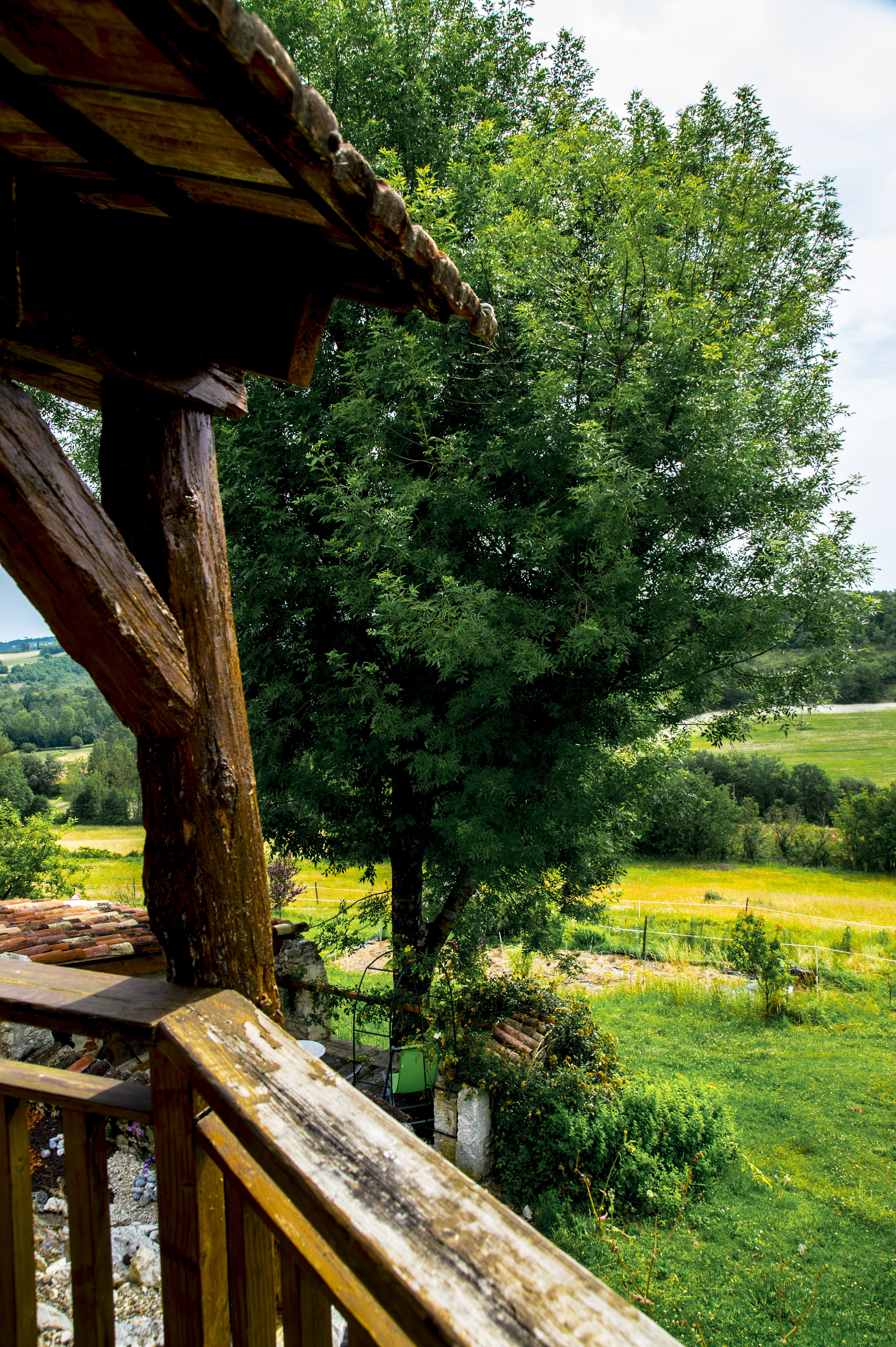 Le Mas des Papillons - La Grange, Porte-du-Quercy - photo 3