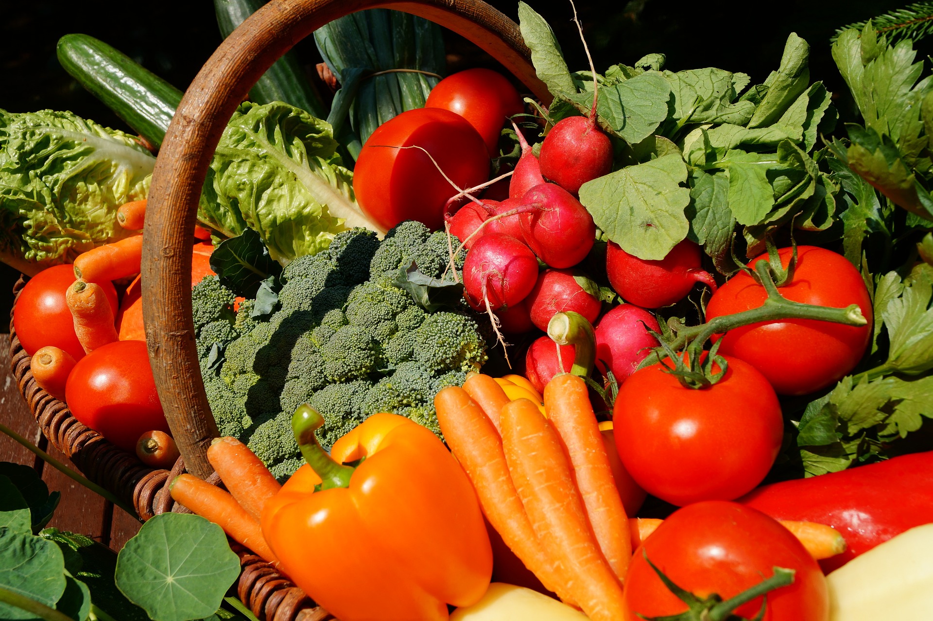 Marché Gourmand à Carnac-Rouffiac