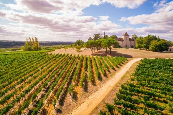 Course d’orientation et dégustation des vins du domaine au Château de Haute-Serre