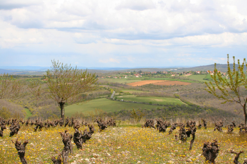 Sur la Route des Barons de Castelnau - Vélo, Prudhomat - photo 2
