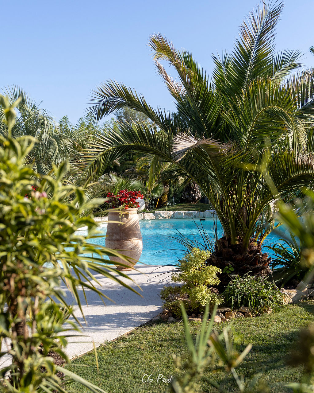 Restaurant Un Canard sous l'Olivier, Ussel