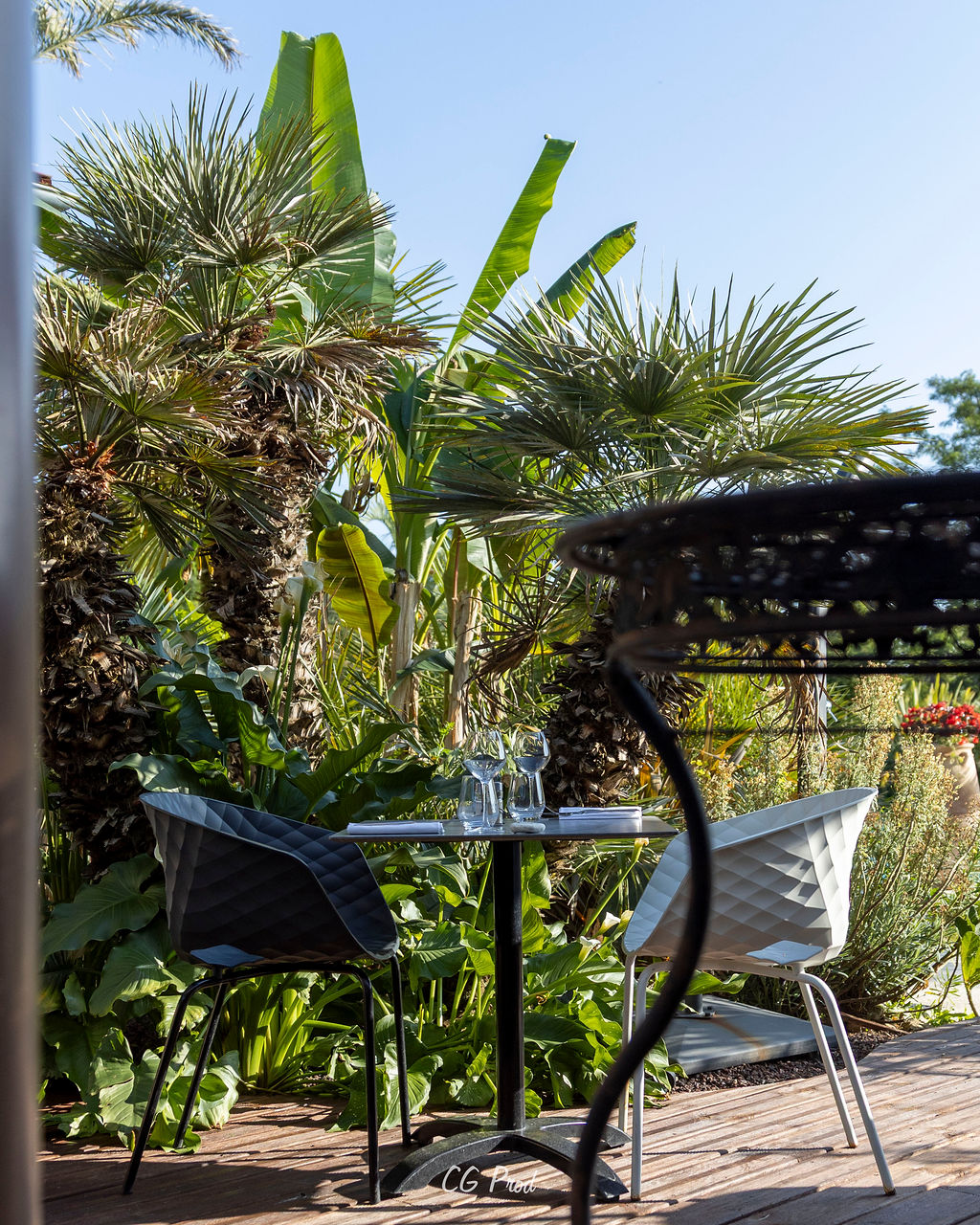 Restaurant Un Canard sous l'Olivier