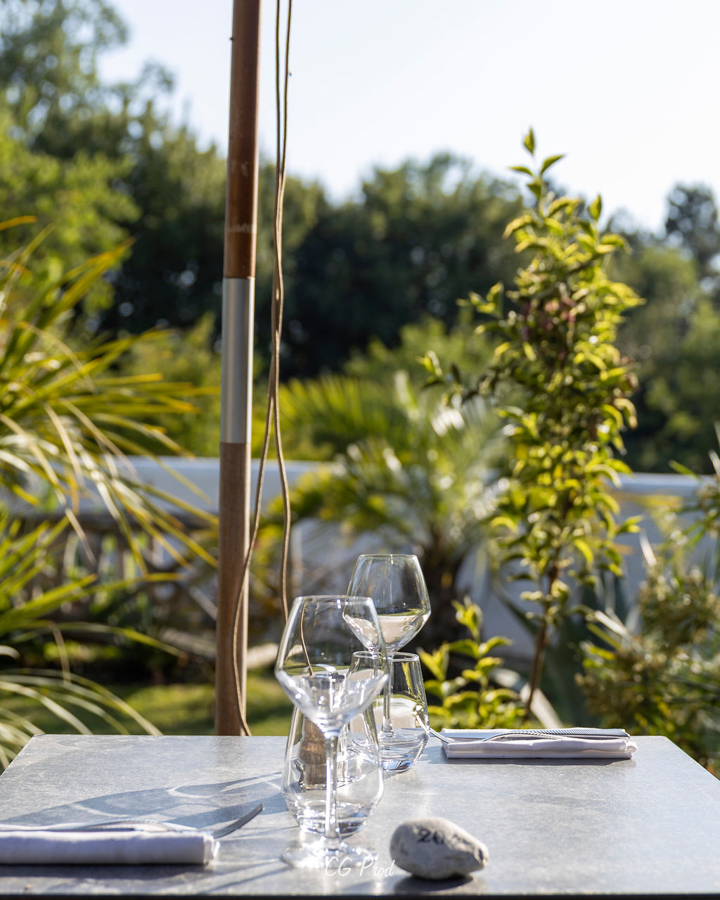 Restaurant Un Canard sous l'Olivier, Ussel - photo 3