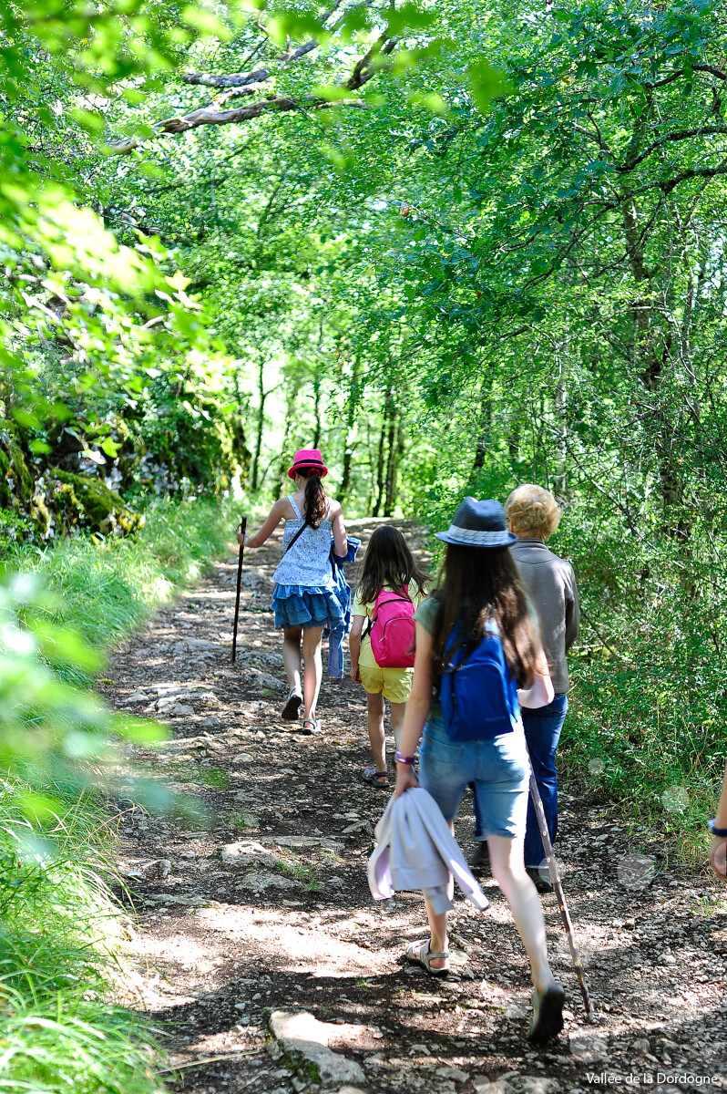 La Cornacopia : Randonnée - Trail Nature, Cornac