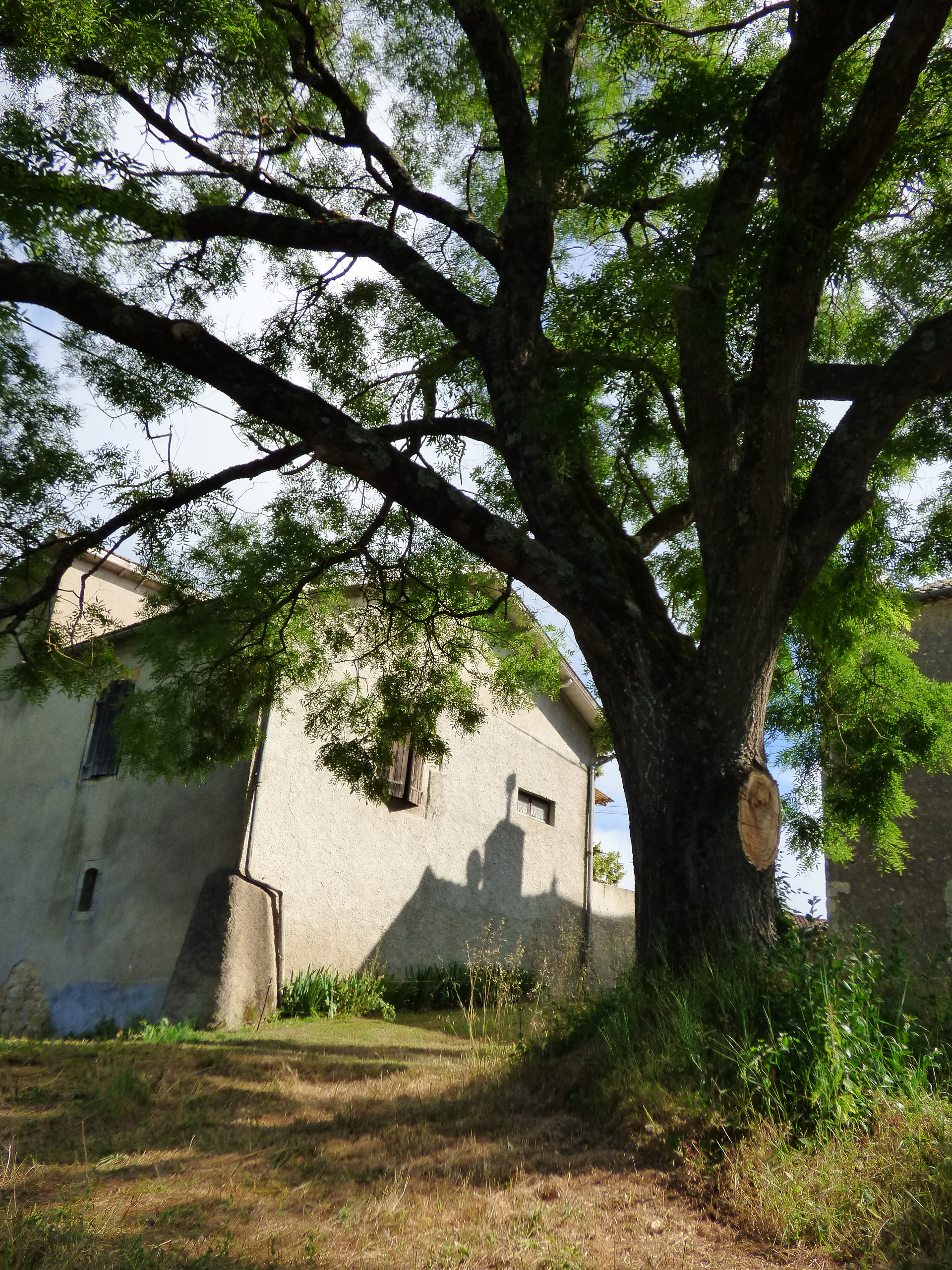 Gîtes La Borde - Le Petit Borde