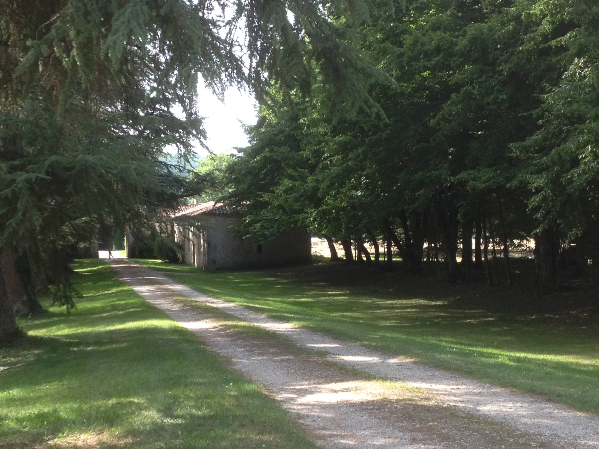 La Bergerie du Sol Del Pech, Carlucet - photo 2