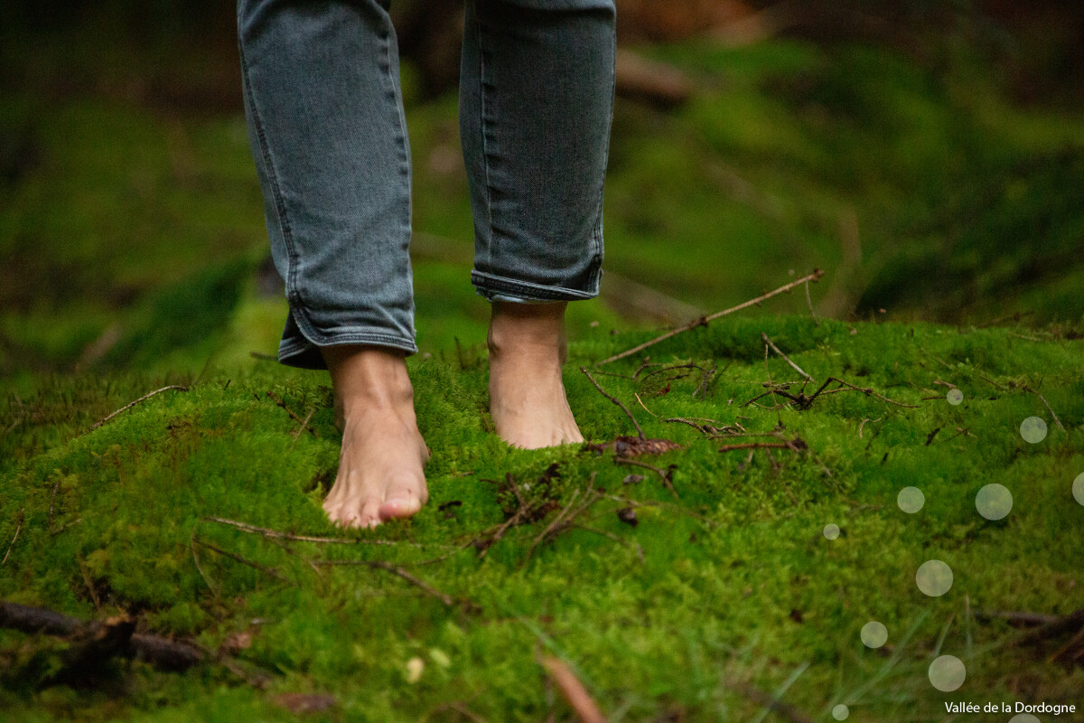 Festival Résurgence IX - Cheminer, méditer, savourer