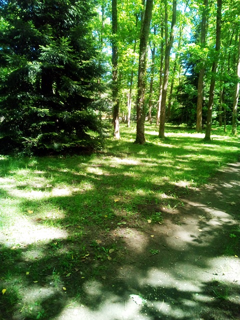 Aire Naturelle "les Grands Chênes", Pinsac - photo 3