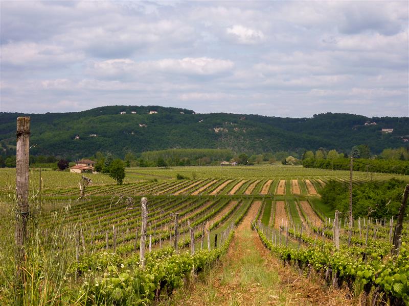 03Labrande - Entre vignes et vallée© Lot Tourisme - C. Sanchez