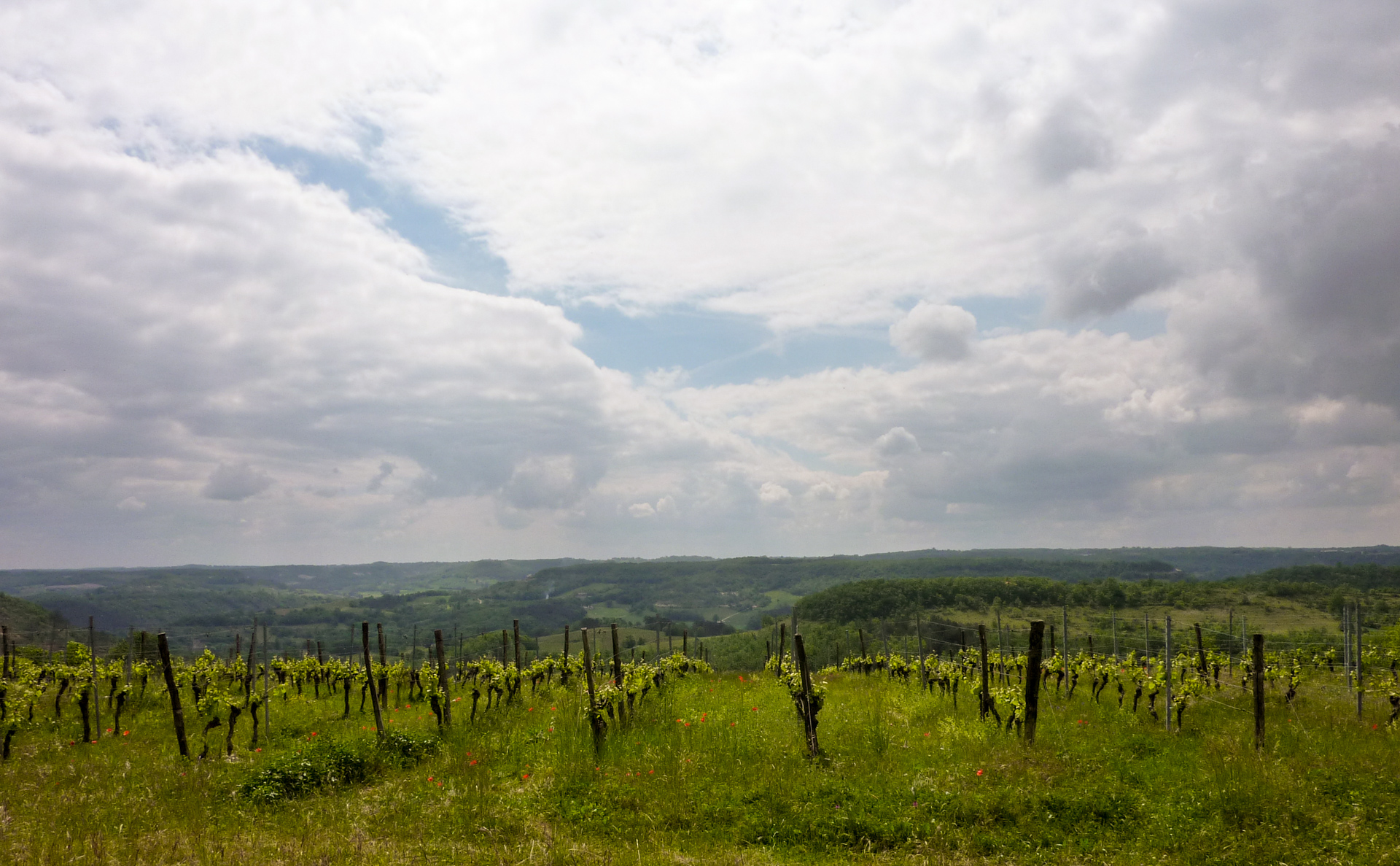 Châteaux et Eglises du Vignoble de Cahors, Mauroux - photo 3