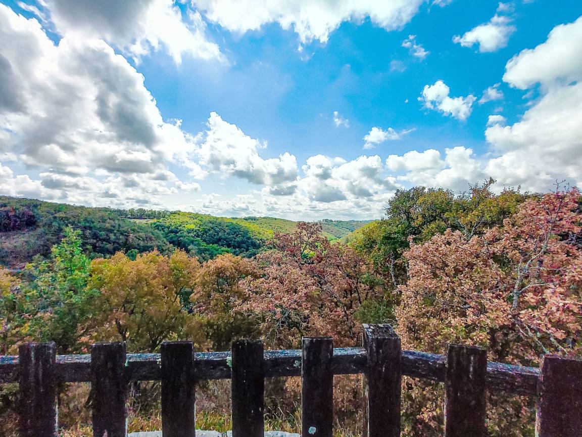 Chez Chantal CAZARD, Cœur de Causse - photo 18