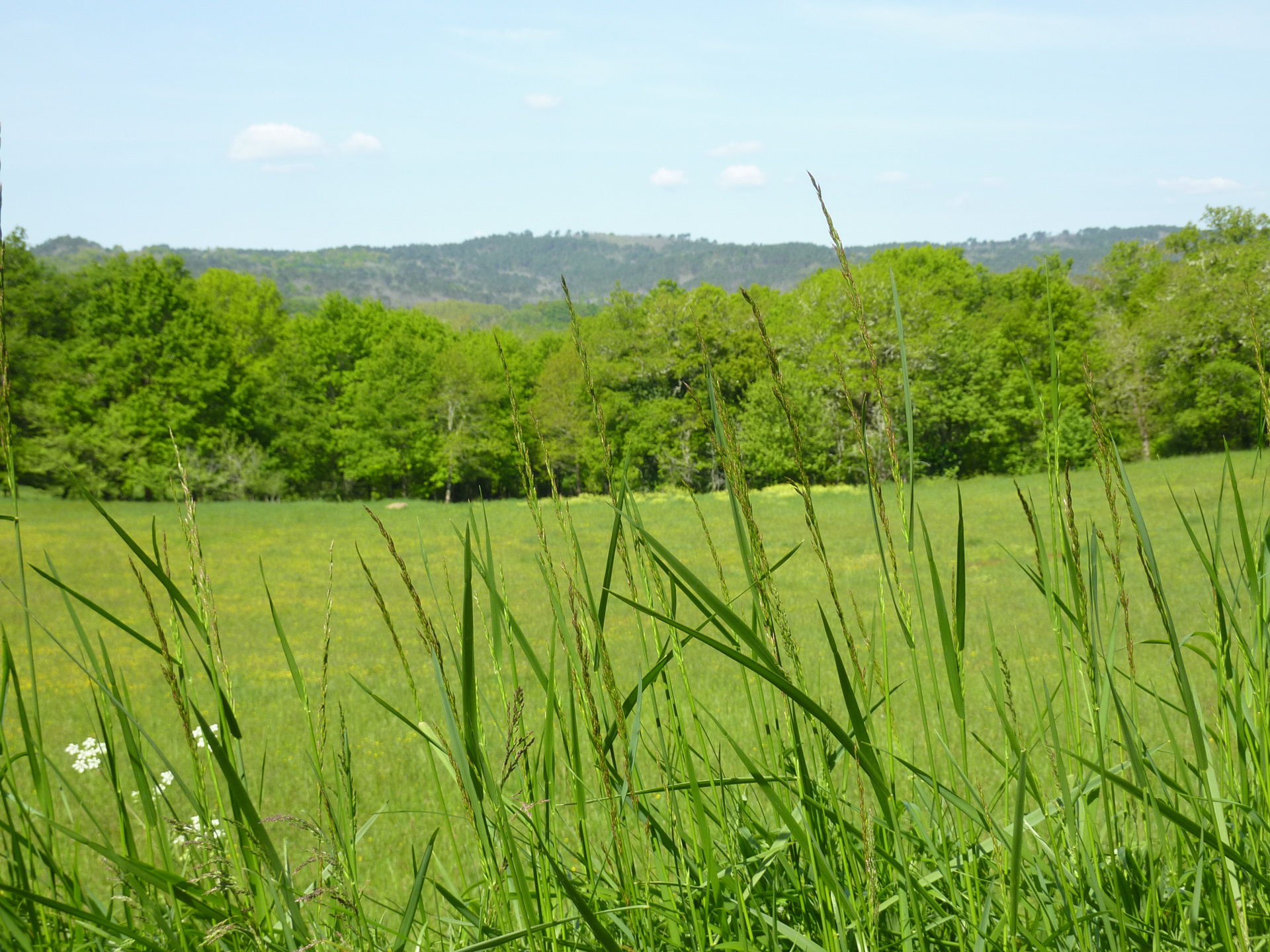 La Route des Arts, Cazals - photo 3