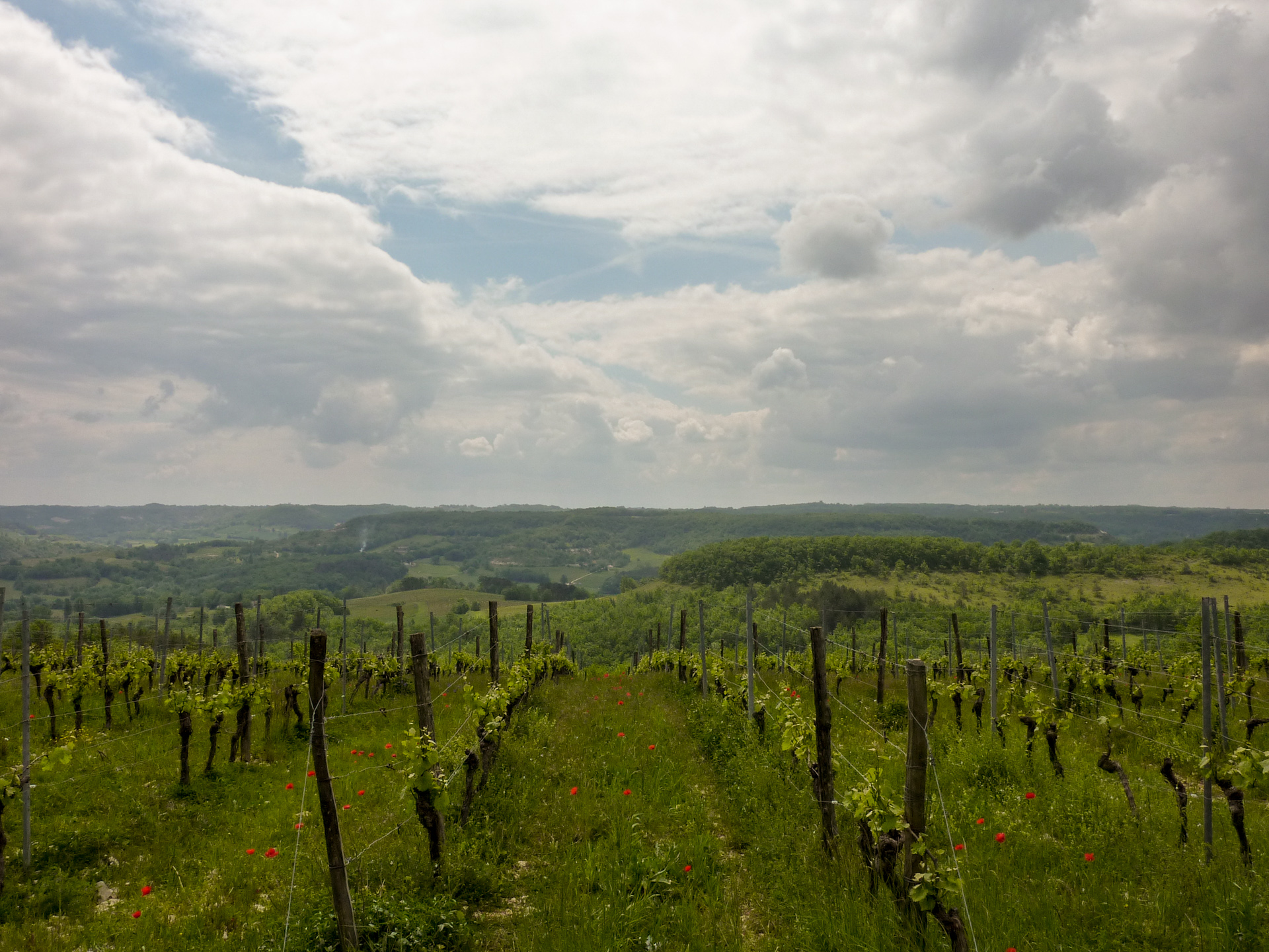 Châteaux et Eglises du Vignoble de Cahors, Mauroux - photo 4