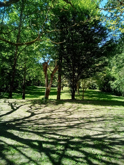 Aire Naturelle "les Grands Chênes", Pinsac - photo 5