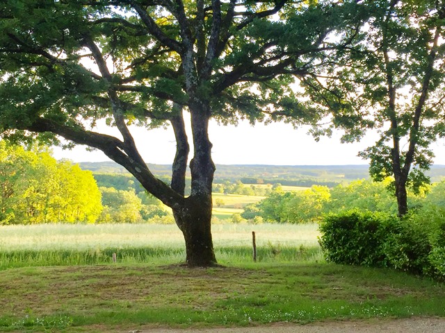Camping Les Hirondelles, Loupiac - photo 3