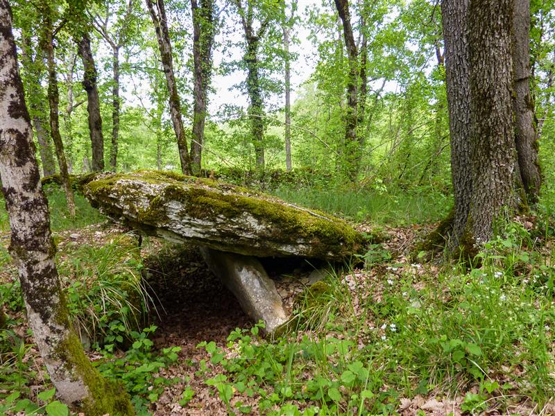 05Dolmen du Bois de Beauregard © Lot Tourisme - C. Sanchez