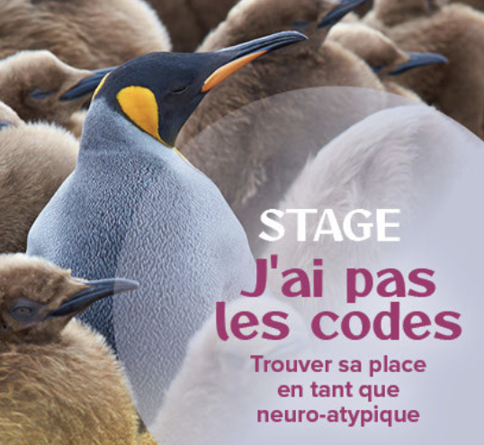 Stage à l'Atelier sous les Chênes -  J'ai pas les codes, trouver sa place en tant que neuro-atypique
Avec Christelle Petitcollin