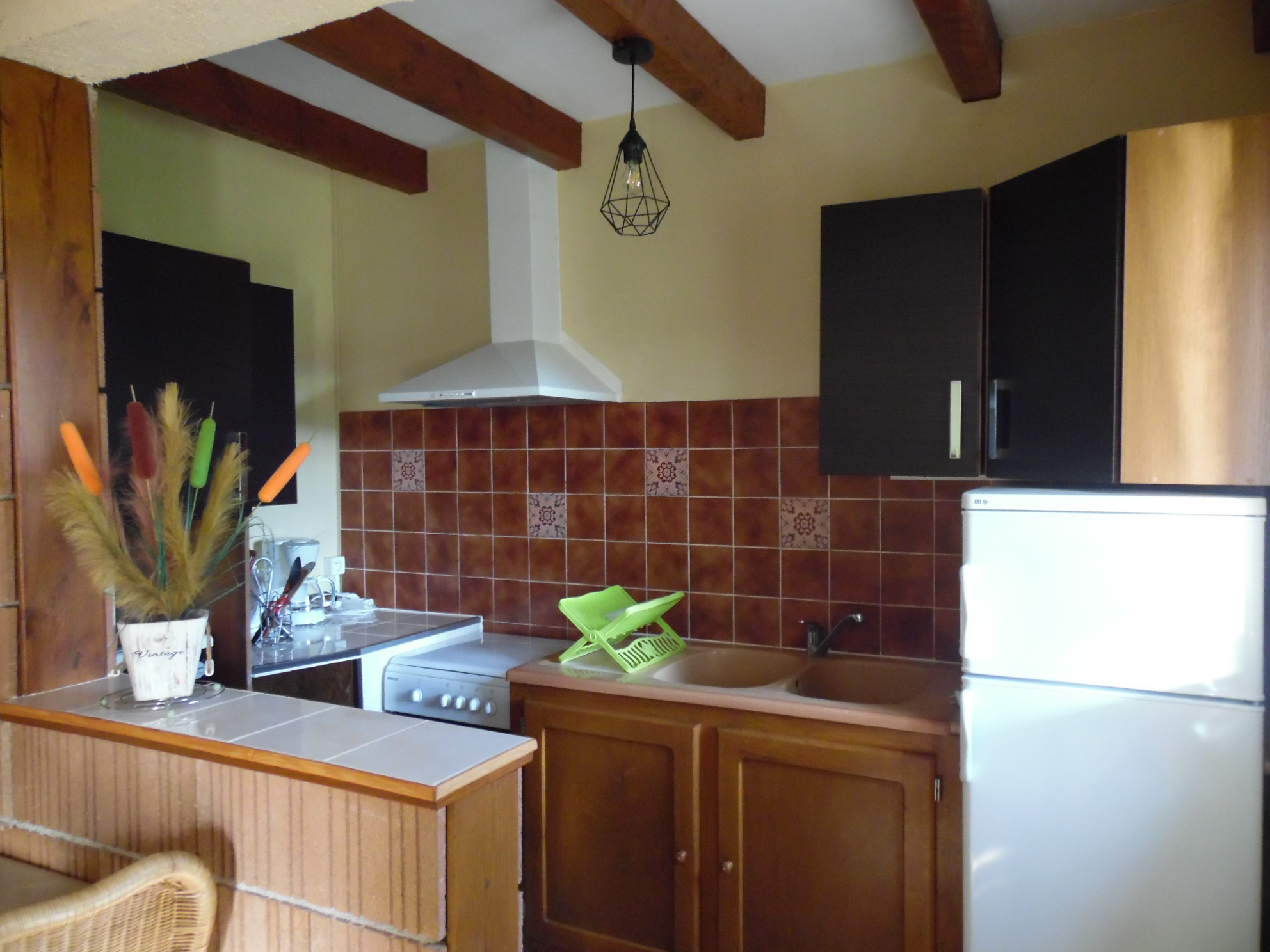 Le Viognier, Saint-Michel-de-Bannières - photo 6