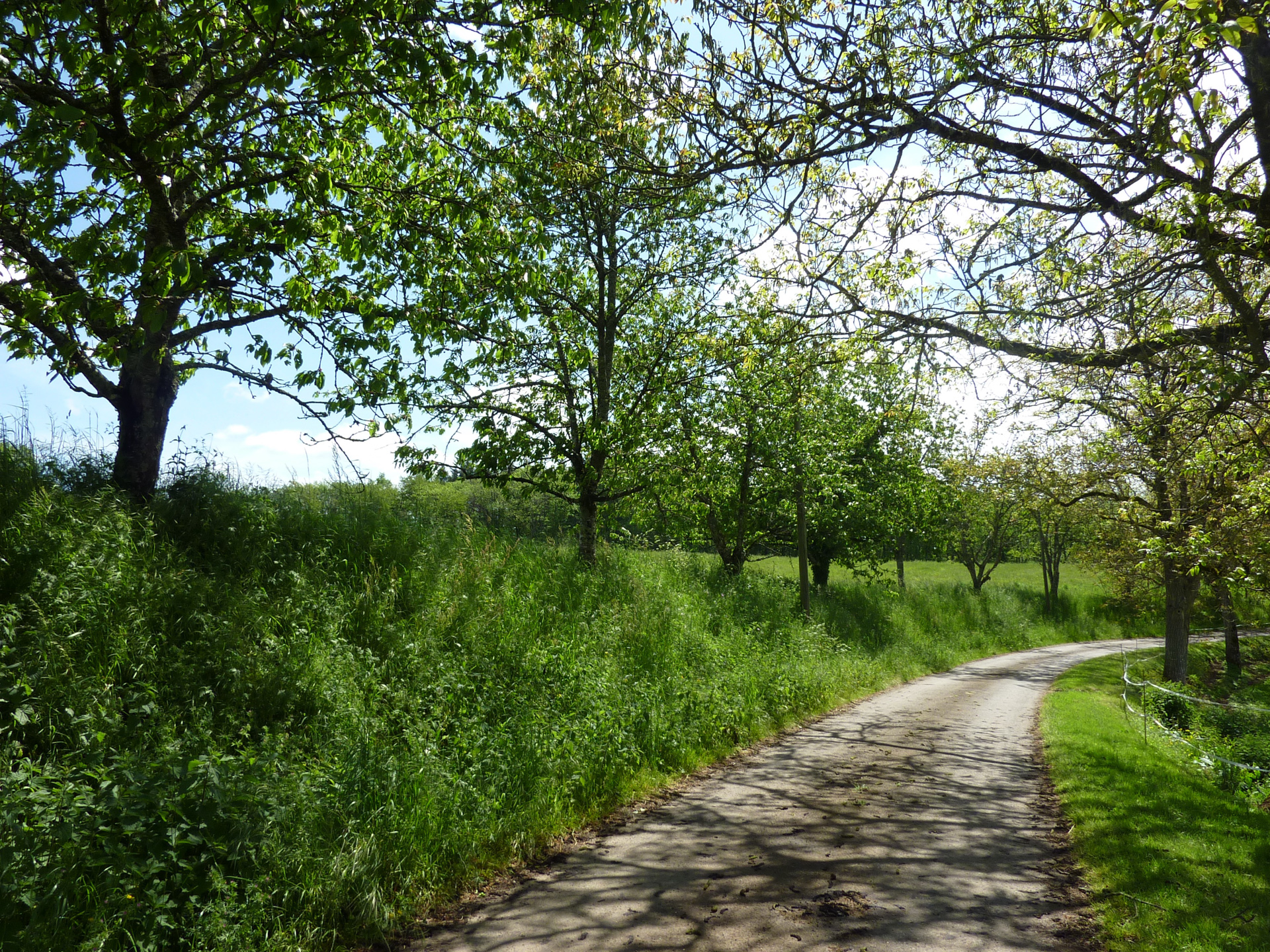 Balade Entre l'Ourajou et le Palazat, Salviac - photo 4