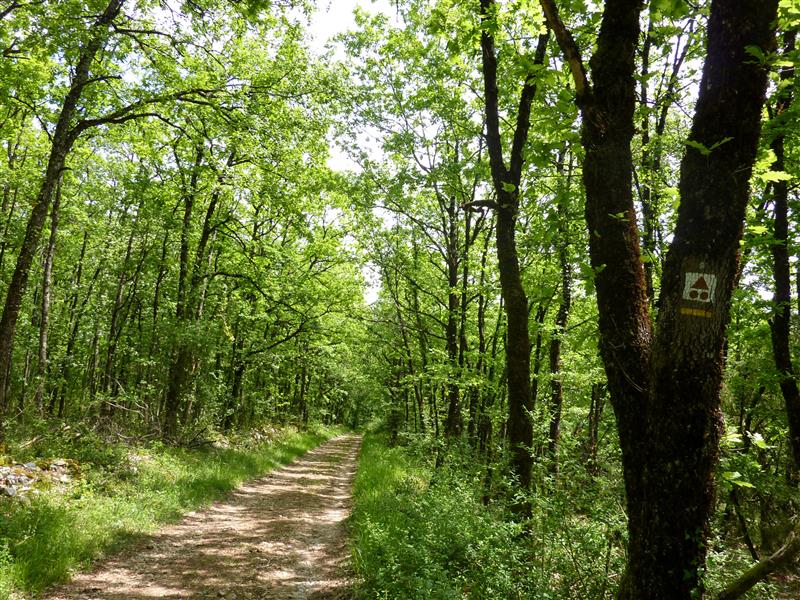 08Bois de Beauregard © Lot Tourisme - C. Sanchez