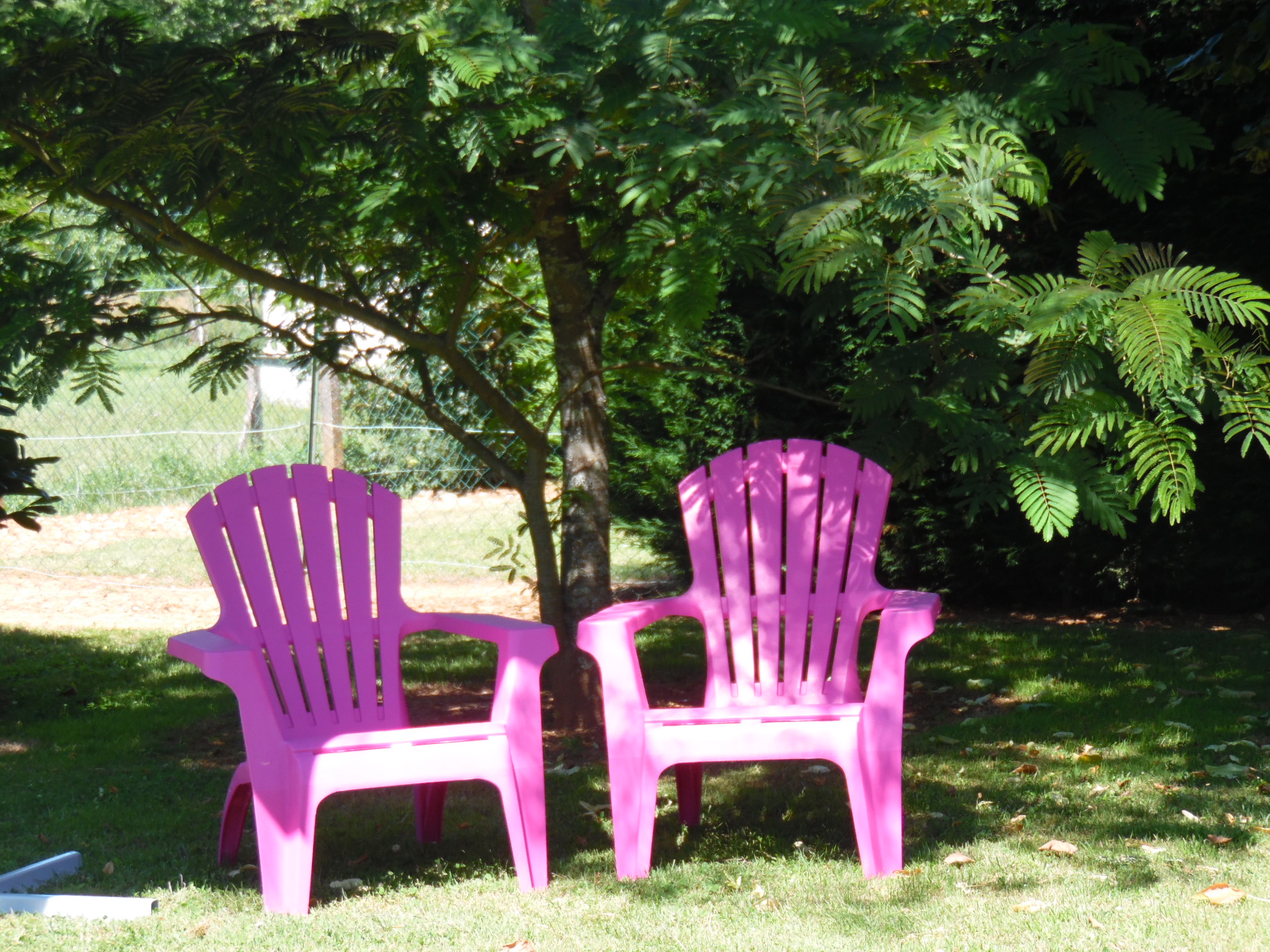 Le Chardonnay, Saint-Michel-de-Bannières - photo 9
