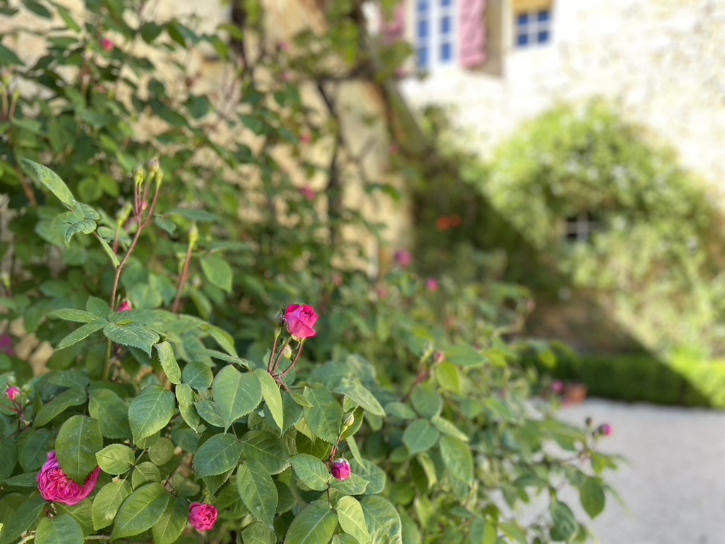 Domaine de Belbouys - Gîte des Amis