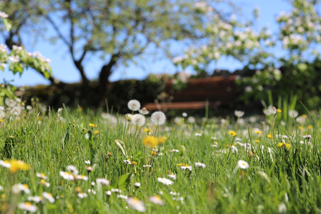 Domaine de Bel air - La Fromagerie