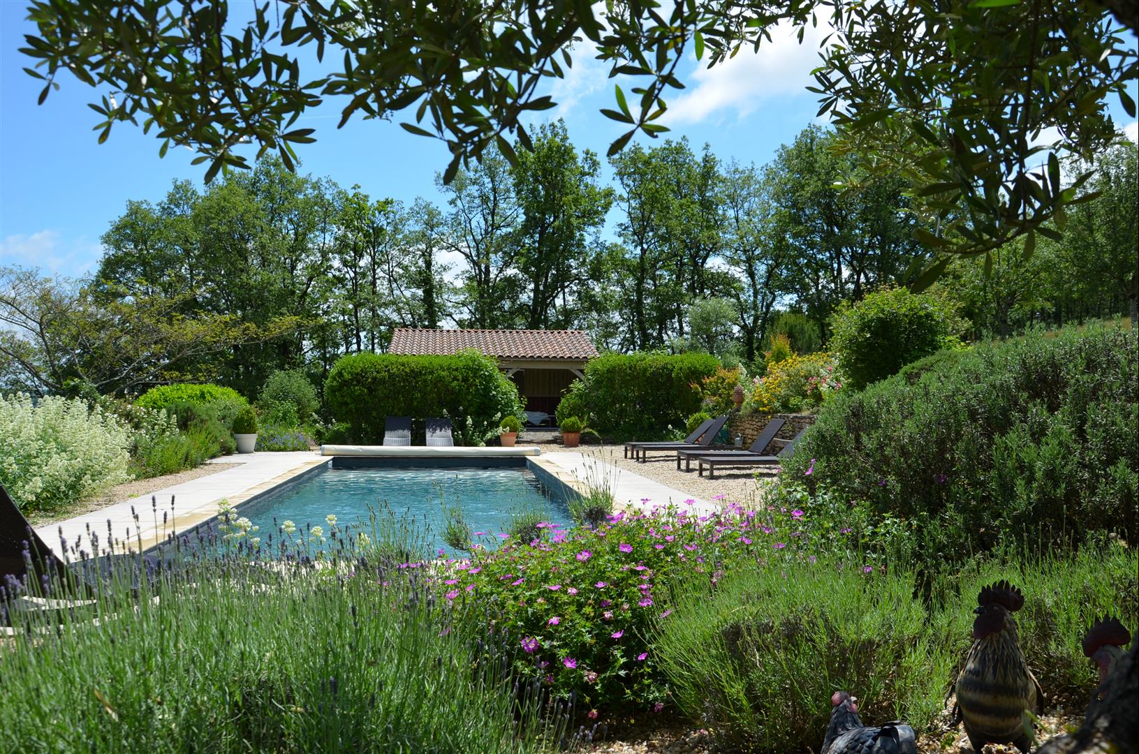 Les Gîtes du Rigaudou - Durocher, Saint-Denis-lès-Martel - photo 3