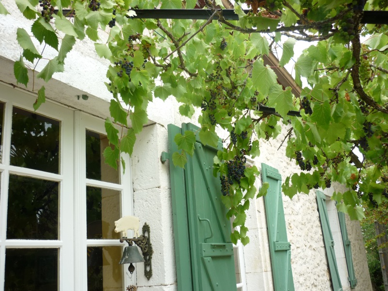 Monplaisir, Porte-du-Quercy - photo 4