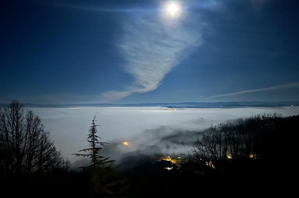 Manoir de Rieuzal, Loubressac - photo 6