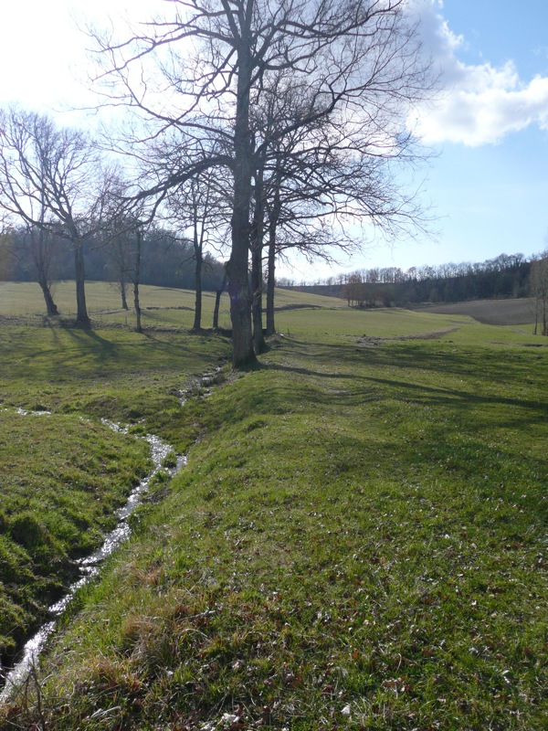 Circuit des Petits Ruisseaux et des Grandes Vignes