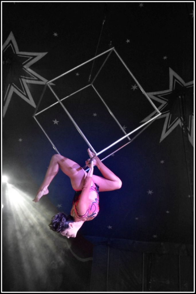 Cirque Rico Zavatta à Figeac, Figeac - photo 5