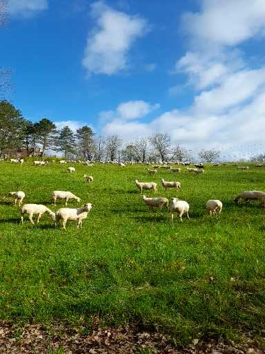 Au fil du Lot et Dordogne, Salviac