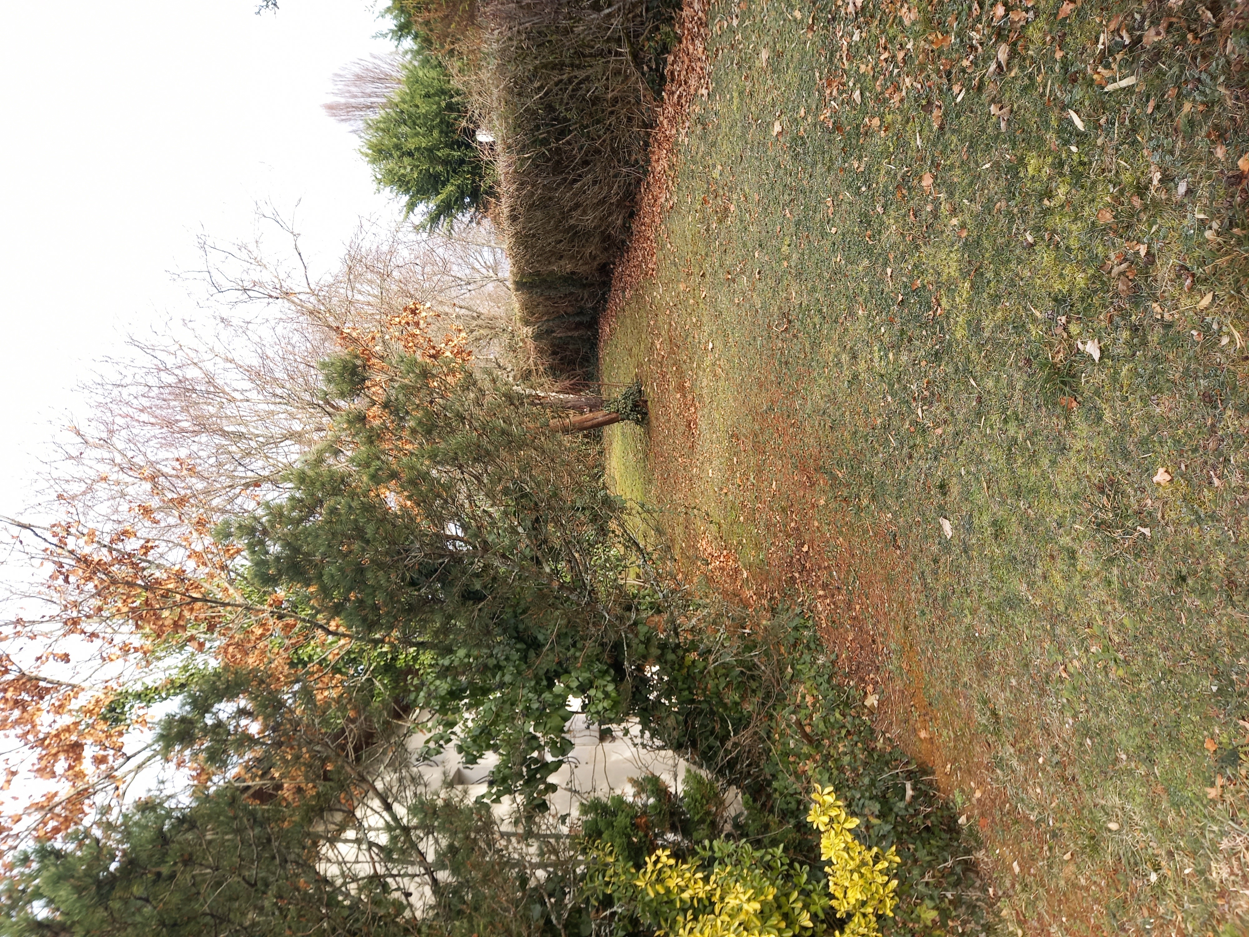 Calvila, Alvignac - photo 5
