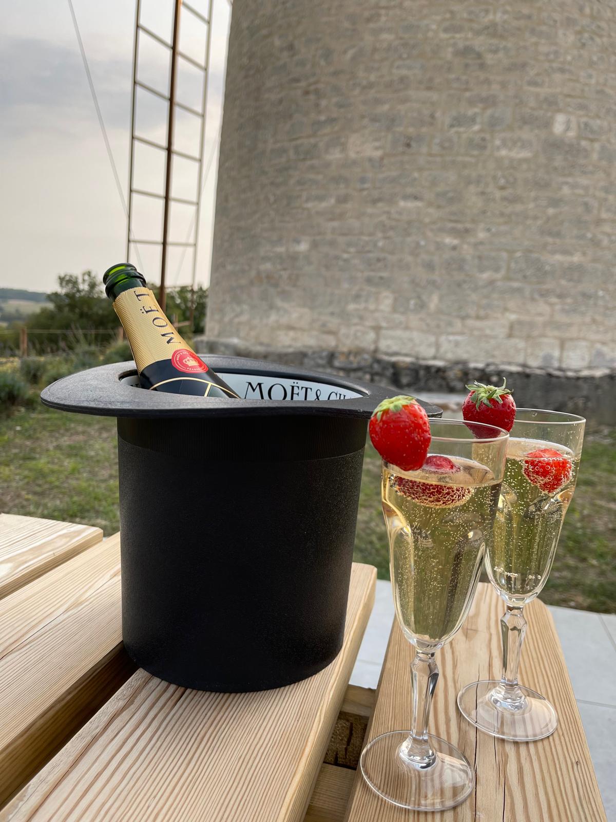 Moulin de Pech Estelle, Montdoumerc - photo 11