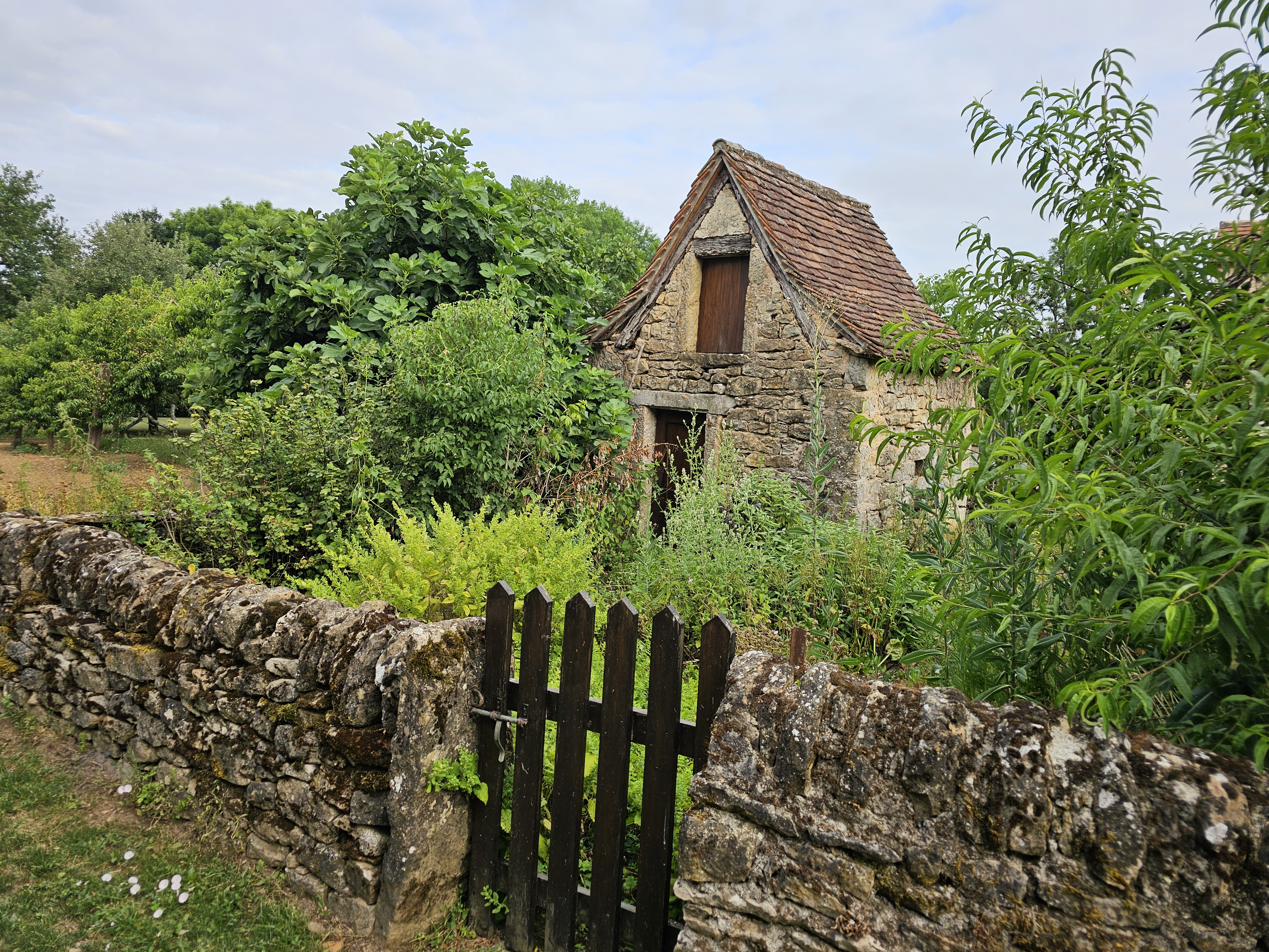 Gîte de Lautine, Lavergne - photo 3