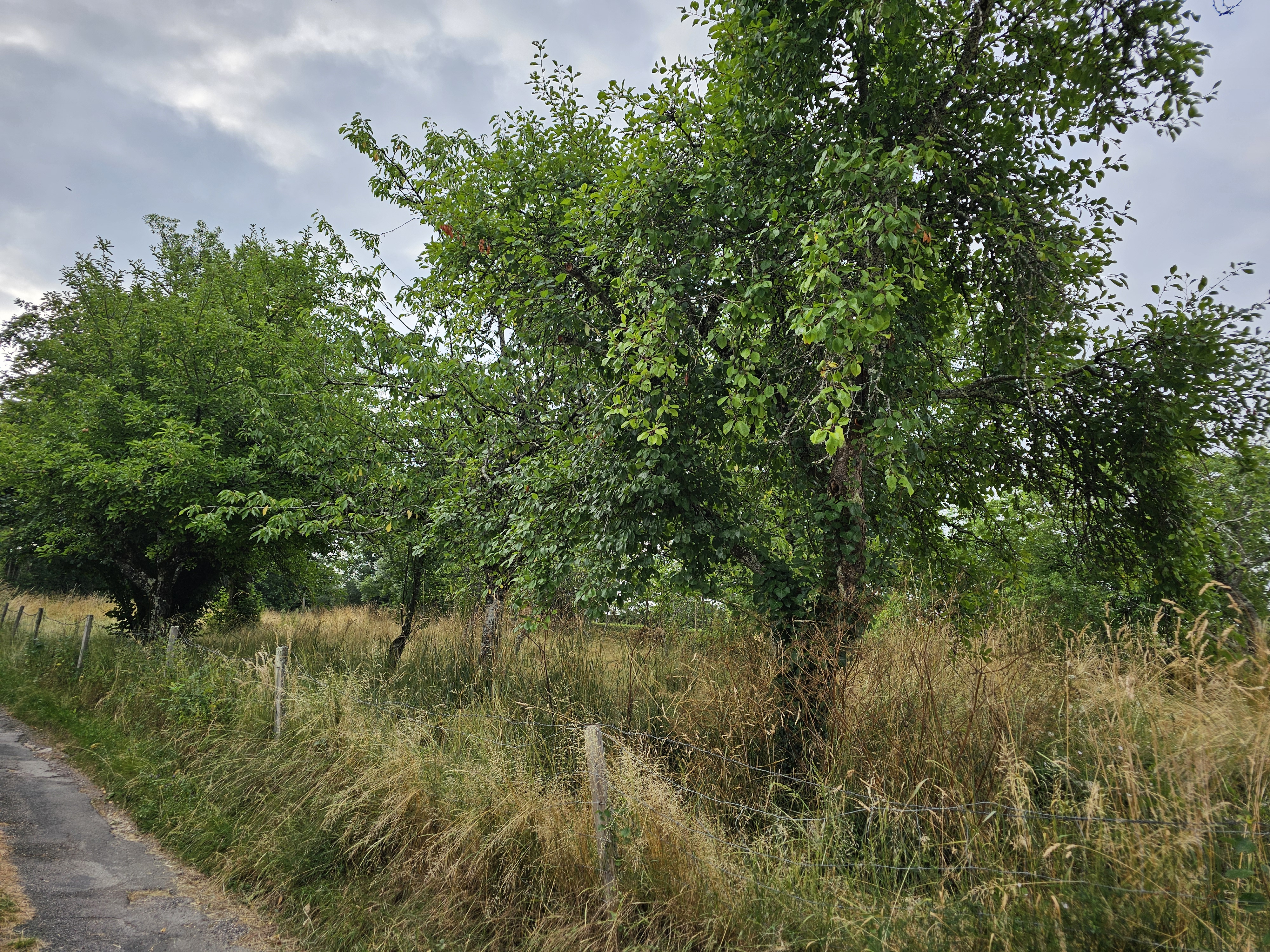 Gîte de Lautine, Lavergne - photo 5