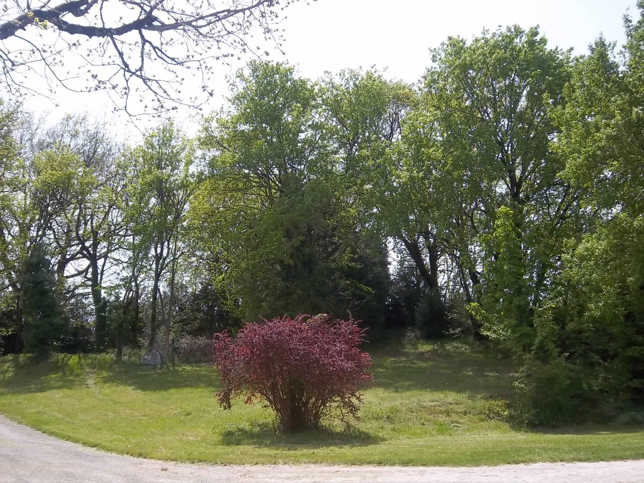 Maison Baudel, Villesèque - photo 3