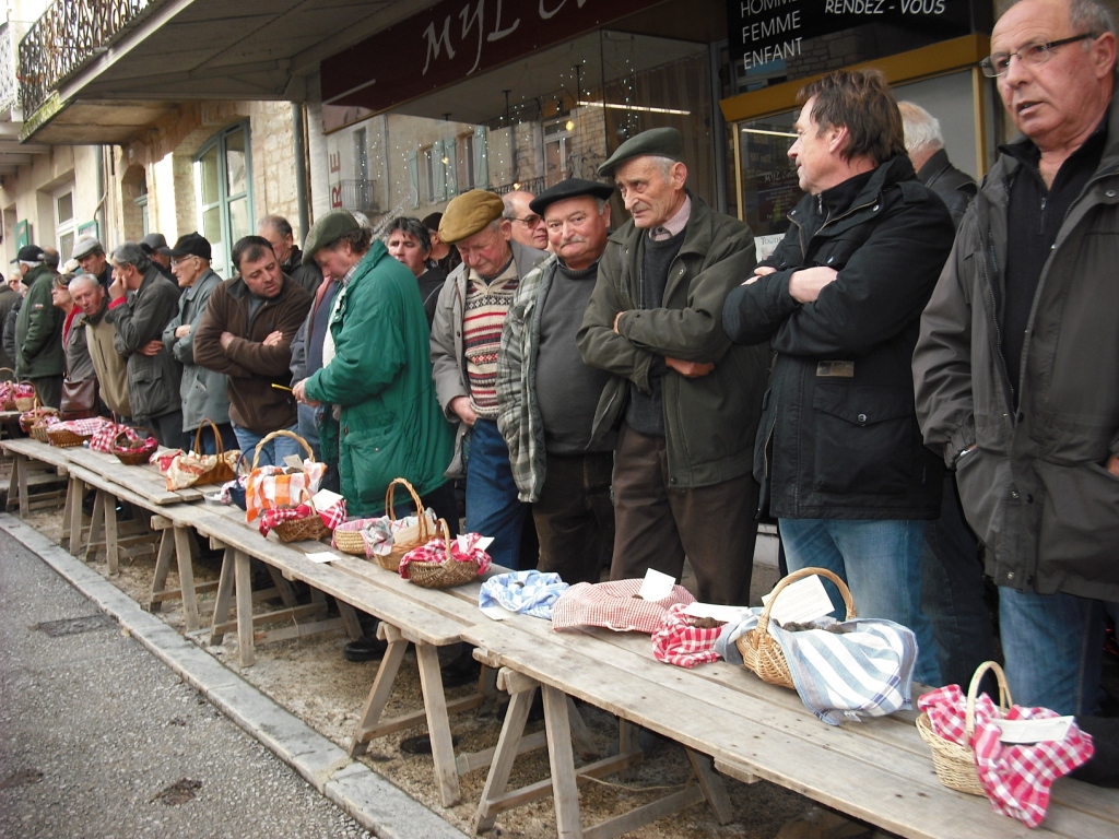1090666_photo_principalejpg