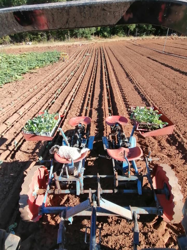 La Passade Maraîchage