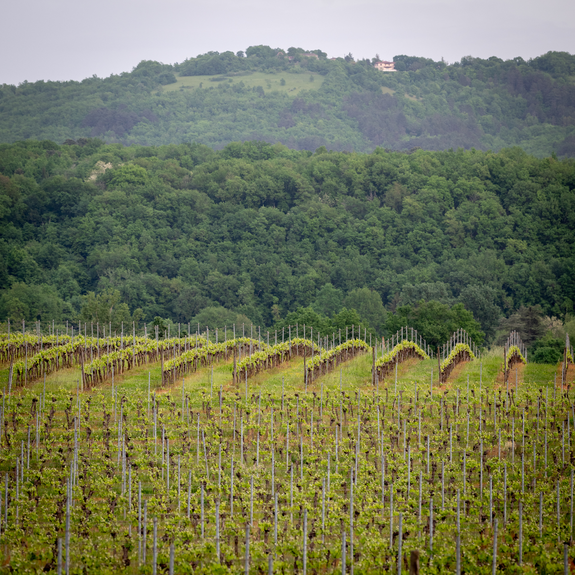 Domaine de Lavaur