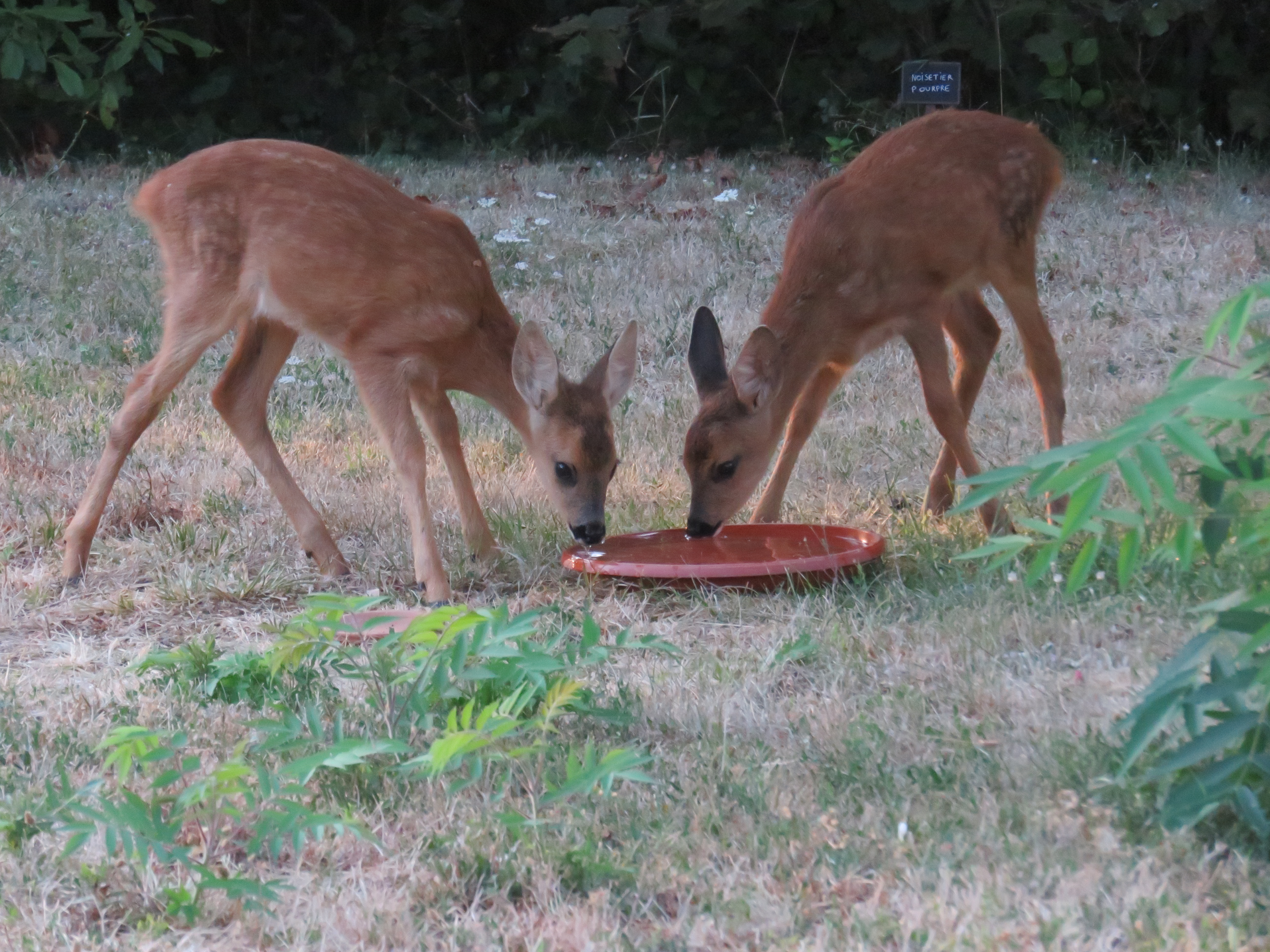 Gite Le Relais Arc en Ciel, Bach - photo 4